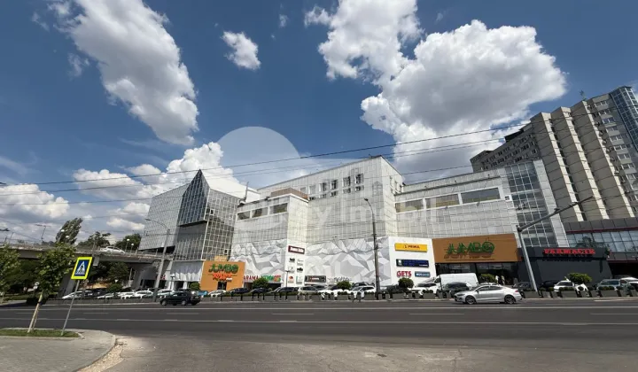 Офис, Ботаника, ДЕЧЕБАЛ