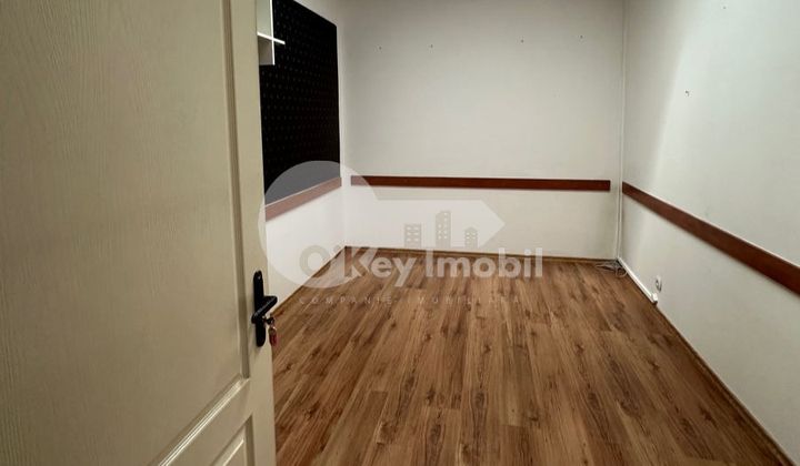 Офис, Ботаника, ДЕЧЕБАЛ