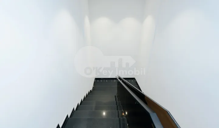 Oficiu, Buiucani, GHENADIE IABLOCIKIN