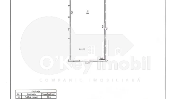 Комм. помещение, Буюканы, ИОАНА РАДУ