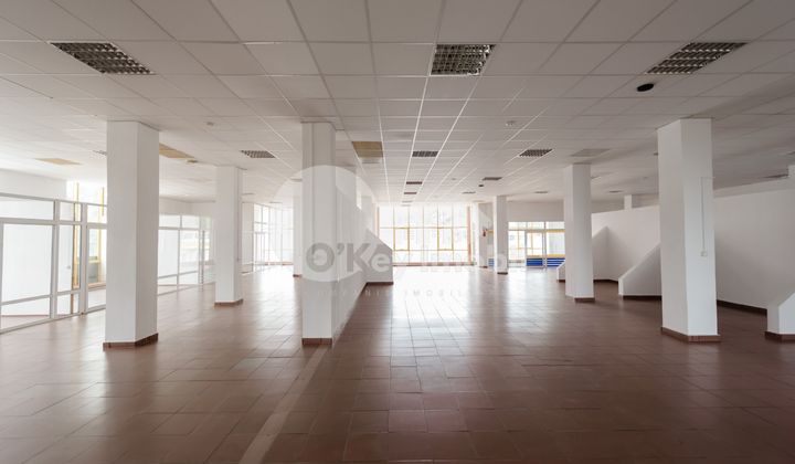 Spațiu Comercial, Poșta Veche, CUCORILOR