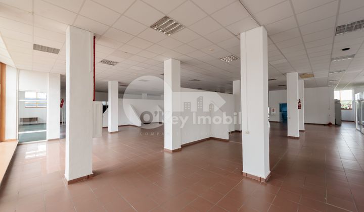 Spațiu Comercial, Poșta Veche, CUCORILOR