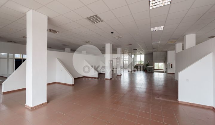 Spațiu Comercial, Poșta Veche, CUCORILOR