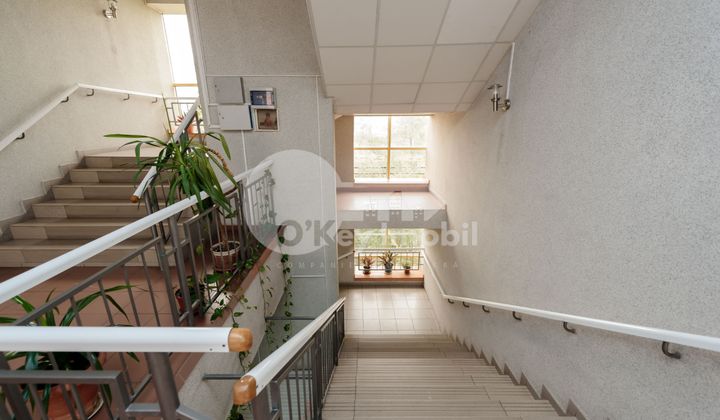 Spațiu Comercial, Poșta Veche, CUCORILOR