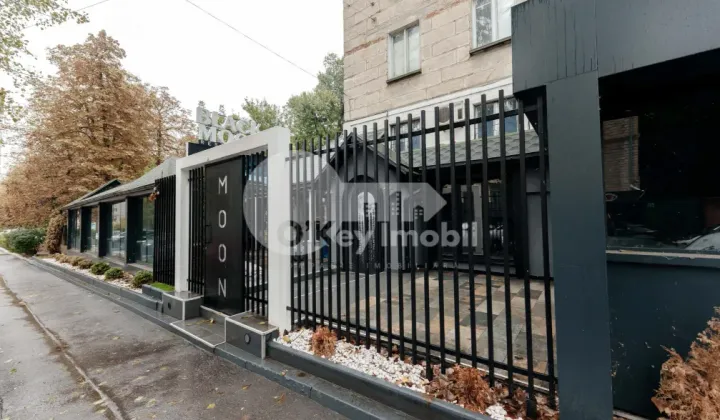 Afacere activă, Centru, ALEXANDR PUȘKIN