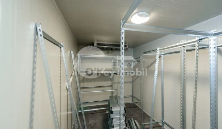 Afacere activă, Centru, ALEXANDR PUȘKIN