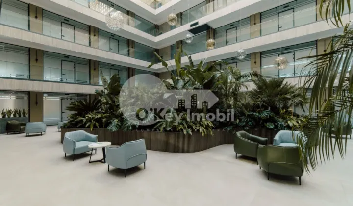 Oficiu, Centru, ȘTEFAN CEL MARE