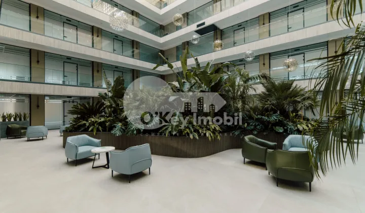 Oficiu, Centru, ȘTEFAN CEL MARE