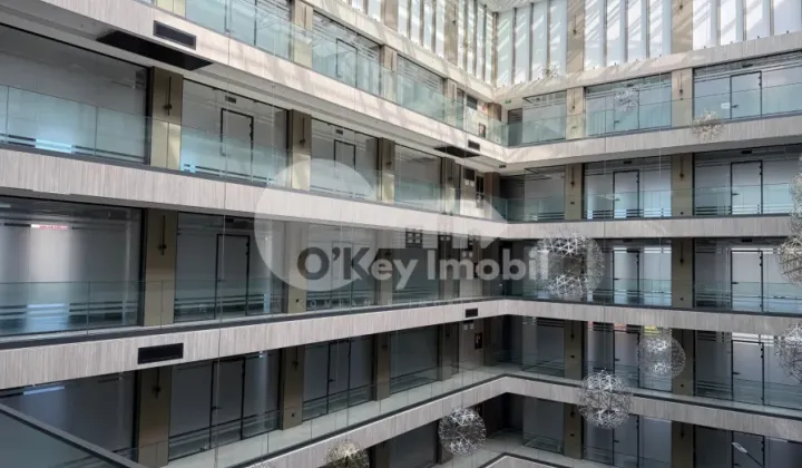 Oficiu, Centru, ȘTEFAN CEL MARE