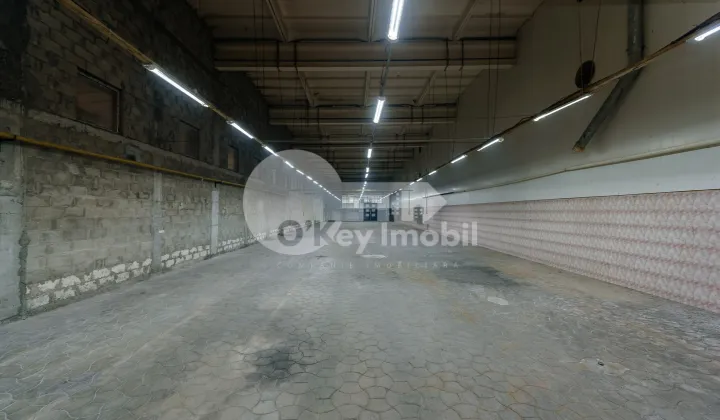 Склад, Чеканы, ВОЛУНТАРИЛОР