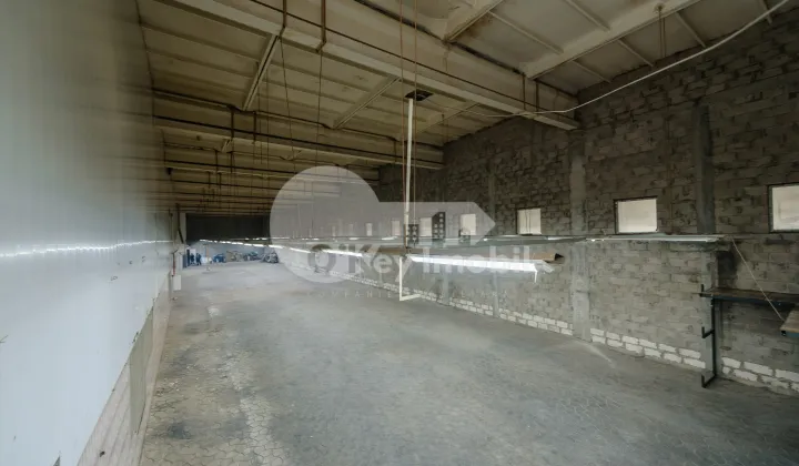 Склад, Чеканы, ВОЛУНТАРИЛОР