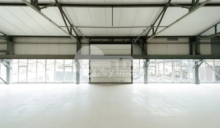 Склад, Чеканы, ВОЛУНТАРИЛОР