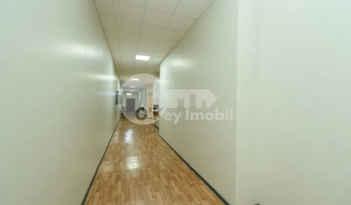 Oficiu, Botanica, NIKOLAI ZELINSKI