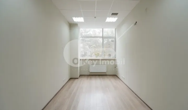 Oficiu, Botanica, NIKOLAI ZELINSKI