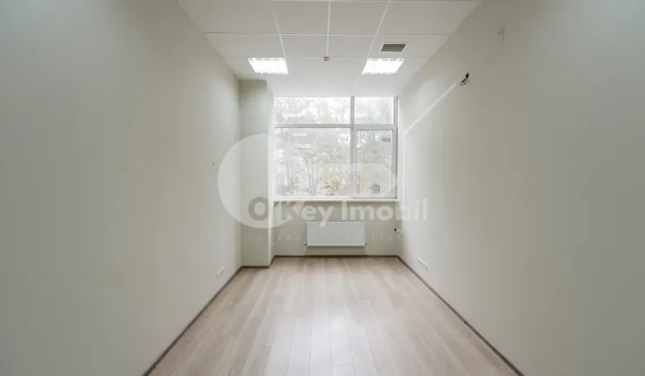 Oficiu, Botanica, NIKOLAI ZELINSKI