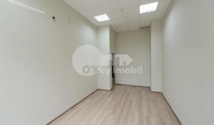 Oficiu, Botanica, NIKOLAI ZELINSKI