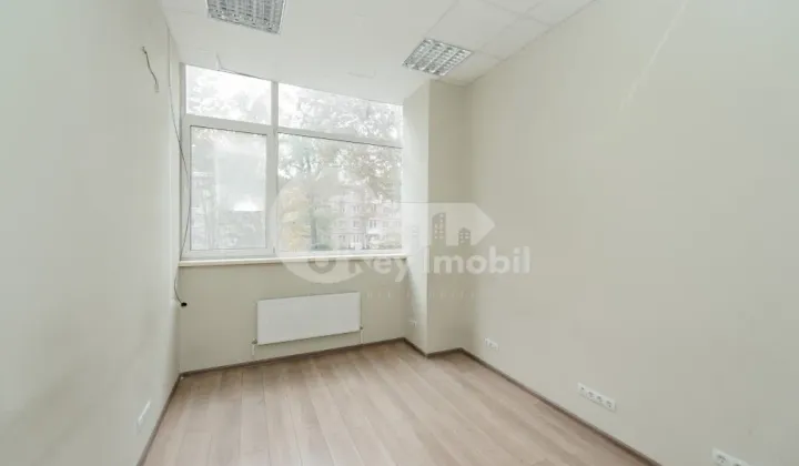 Oficiu, Botanica, NIKOLAI ZELINSKI