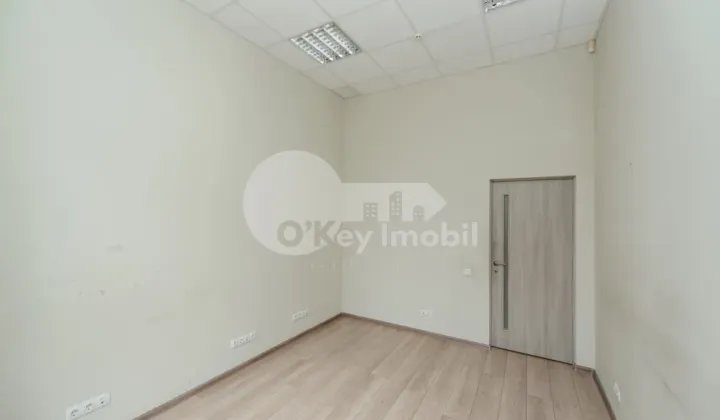 Oficiu, Botanica, NIKOLAI ZELINSKI