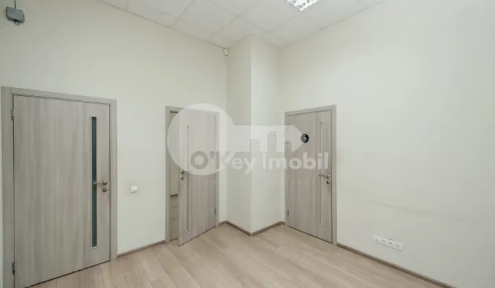 Oficiu, Botanica, NIKOLAI ZELINSKI