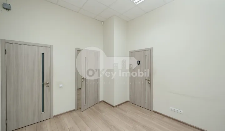 Oficiu, Botanica, NIKOLAI ZELINSKI