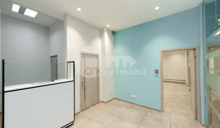 Oficiu, Botanica, NIKOLAI ZELINSKI