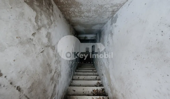 Дом, Ботаника, ПЛАЮЛУЙ