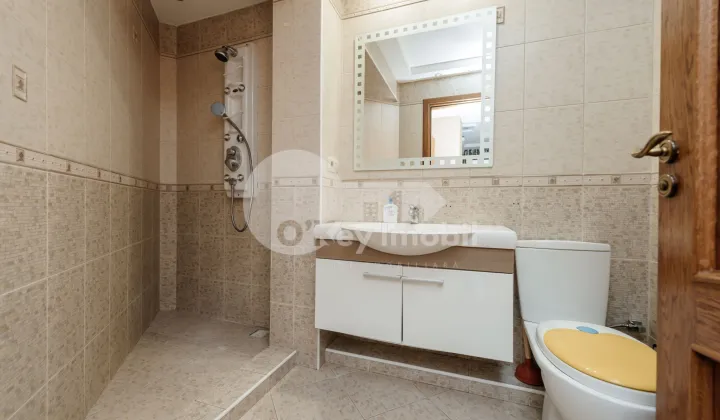 Дом, Ботаника, ПЛАЮЛУЙ