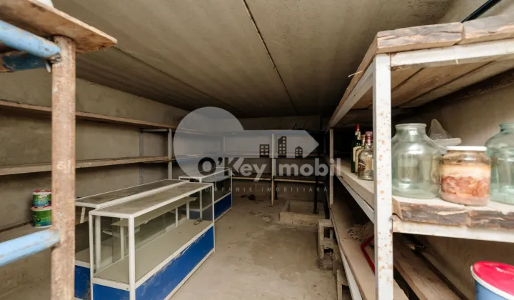 Дом, Ботаника, ПЛАЮЛУЙ