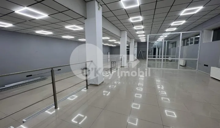 Офис, Ботаника, КУЗА ВОДЭ