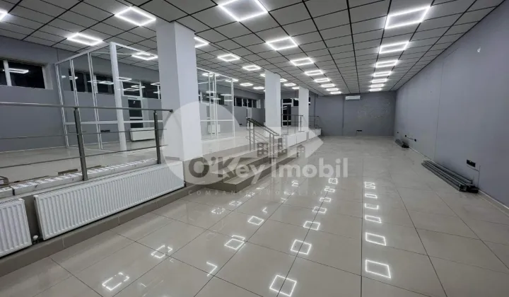 Офис, Ботаника, КУЗА ВОДЭ