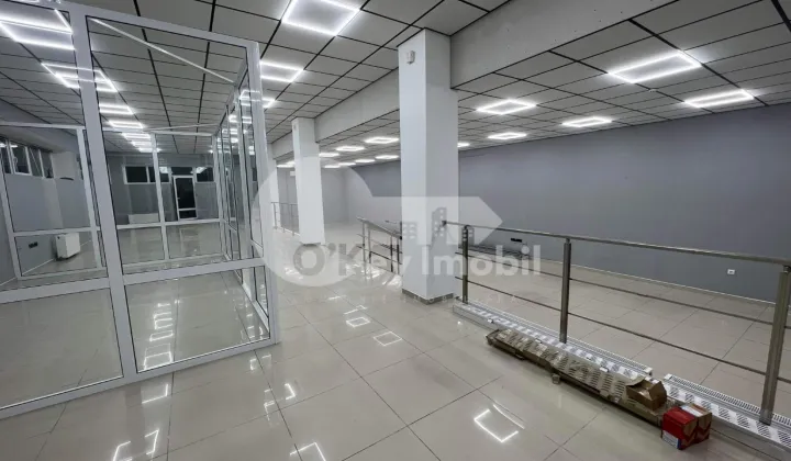 Офис, Ботаника, КУЗА ВОДЭ