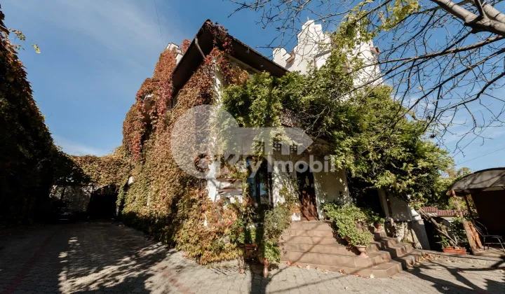 Spațiu comercial, Centru, VALERIU CUPCEA