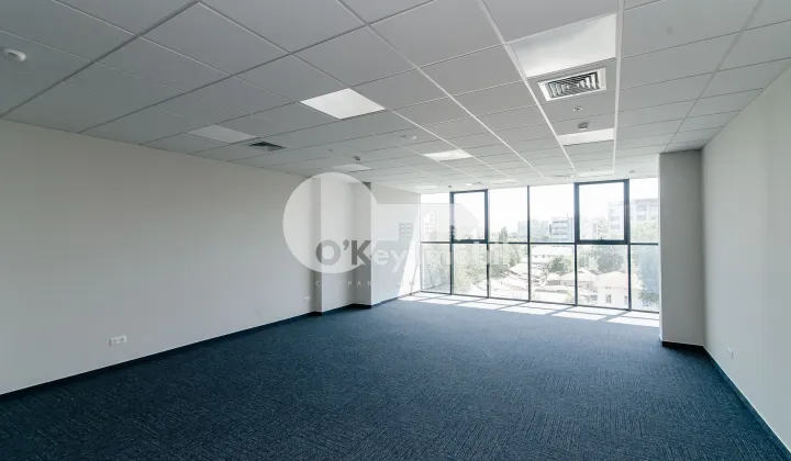 Офис, Центр, ШТЕФАН ЧЕЛ МАРЕ