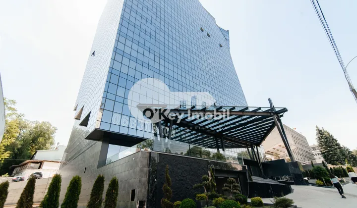 Офис, Центр, ШТЕФАН ЧЕЛ МАРЕ