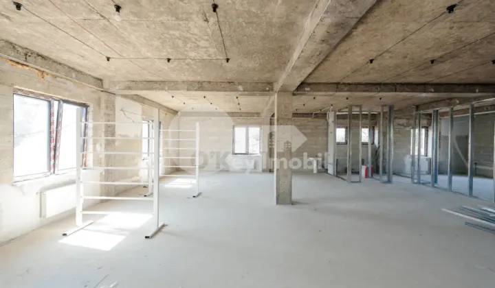 Офис, Центр, БЭЛЭНЕСКУ