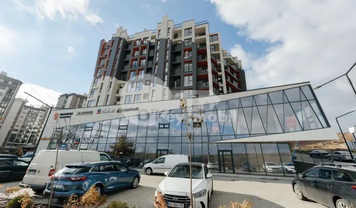 Офис, Чеканы, МИЛЕСКУ СПЭТАРУ