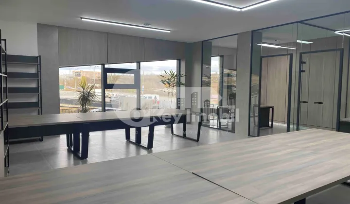 Офис, Чеканы, МИЛЕСКУ СПЭТАРУ