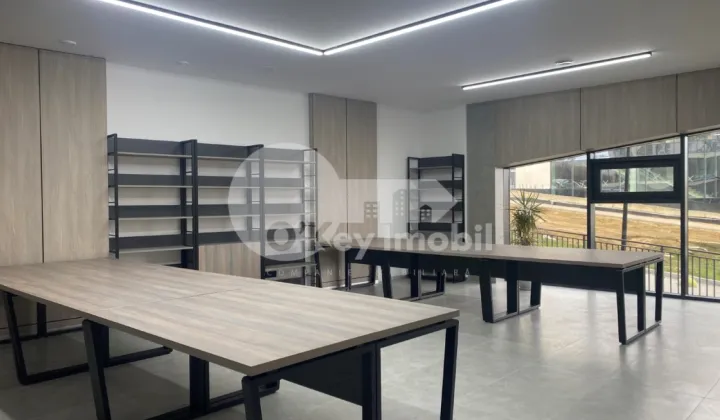 Офис, Чеканы, МИЛЕСКУ СПЭТАРУ