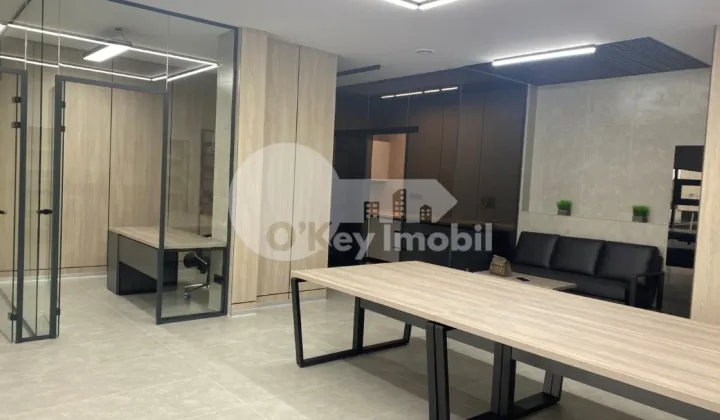 Офис, Чеканы, МИЛЕСКУ СПЭТАРУ