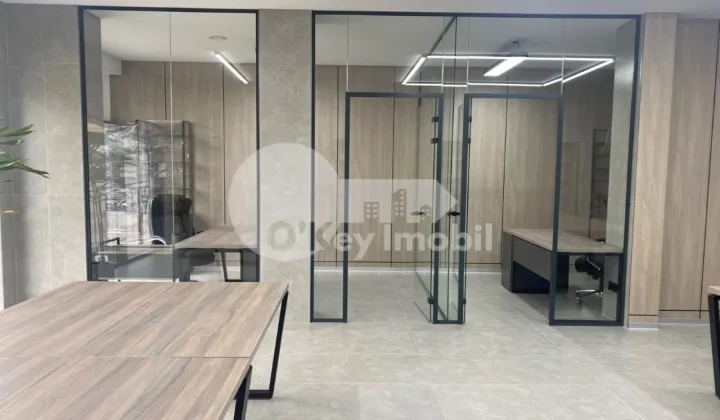 Офис, Чеканы, МИЛЕСКУ СПЭТАРУ