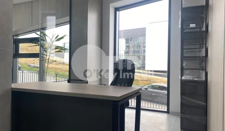 Офис, Чеканы, МИЛЕСКУ СПЭТАРУ