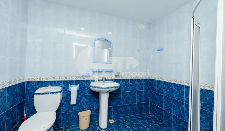 Комм. помещение, Центр, МИХАИЛ КОГАЛНИЧАНУ