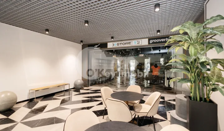 Комм. помещение, Рышкановка, БОГДАН ВОЕВОД