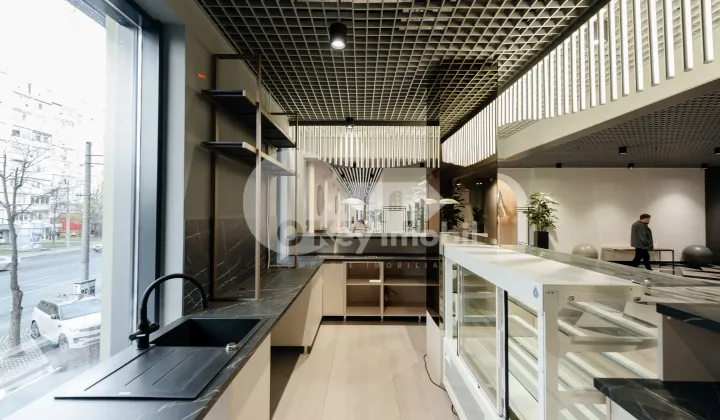 Комм. помещение, Рышкановка, БОГДАН ВОЕВОД