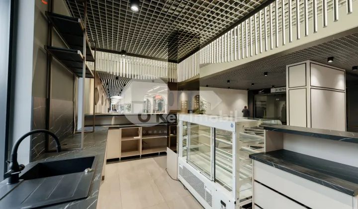 Комм. помещение, Рышкановка, БОГДАН ВОЕВОД