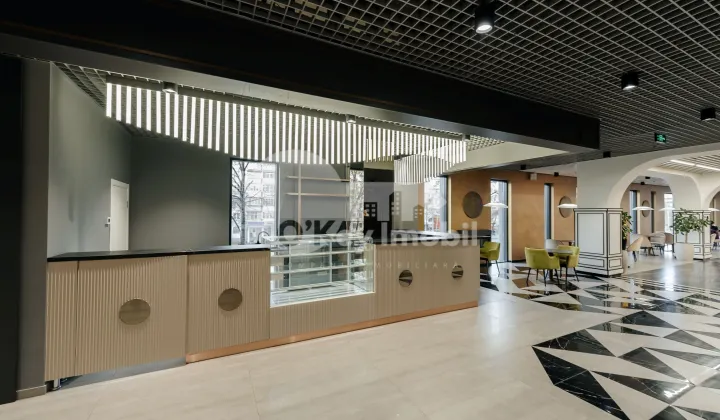 Комм. помещение, Рышкановка, БОГДАН ВОЕВОД