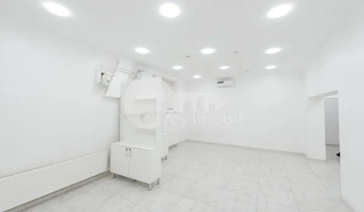 Комм. помещение, Ботаника, НИКОЛАЙ ЗЕЛИНСКИЙ