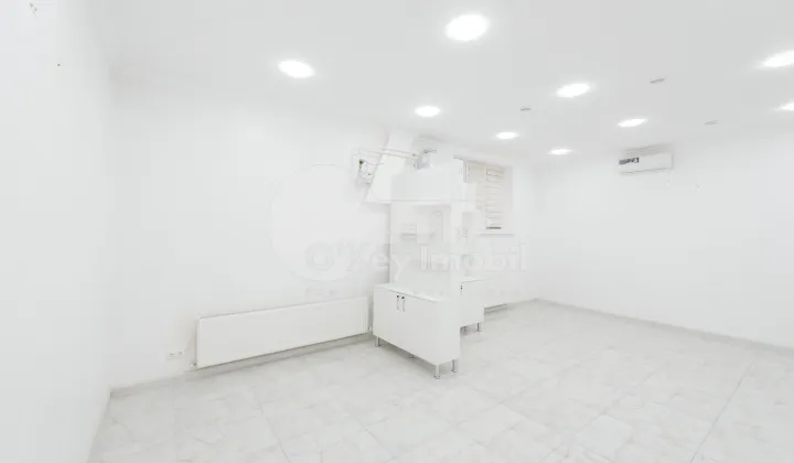 Комм. помещение, Ботаника, НИКОЛАЙ ЗЕЛИНСКИЙ