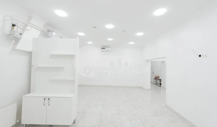 Комм. помещение, Ботаника, НИКОЛАЙ ЗЕЛИНСКИЙ