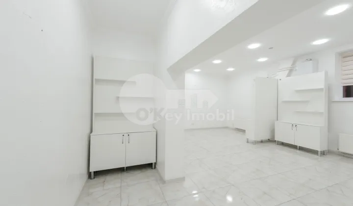 Комм. помещение, Ботаника, НИКОЛАЙ ЗЕЛИНСКИЙ